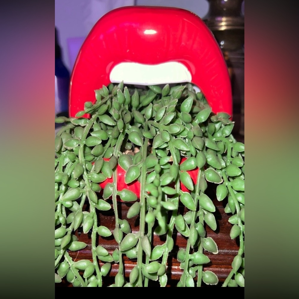 RED LIPS CERAMIC PLANTER